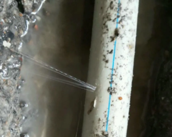 双台子卫生间测漏水多少钱