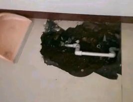 双台子卫生间测漏水多少钱